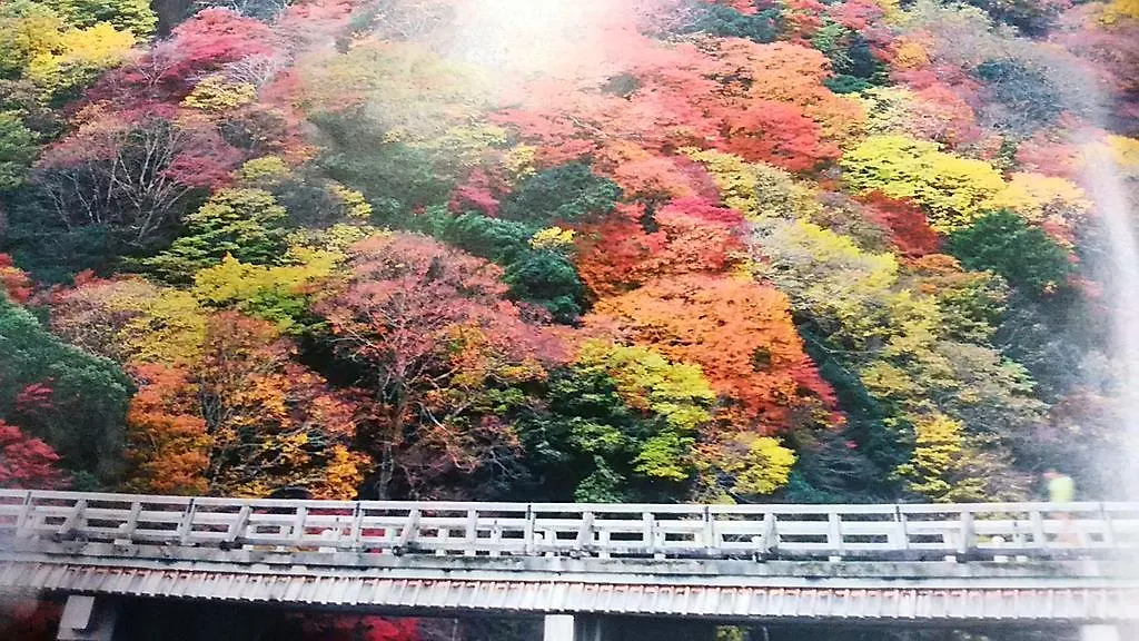 ホテル 故郷の家 京都市
